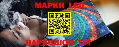 винт Донецк