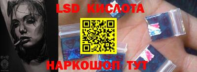 винт Донецк