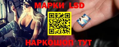 винт Донецк