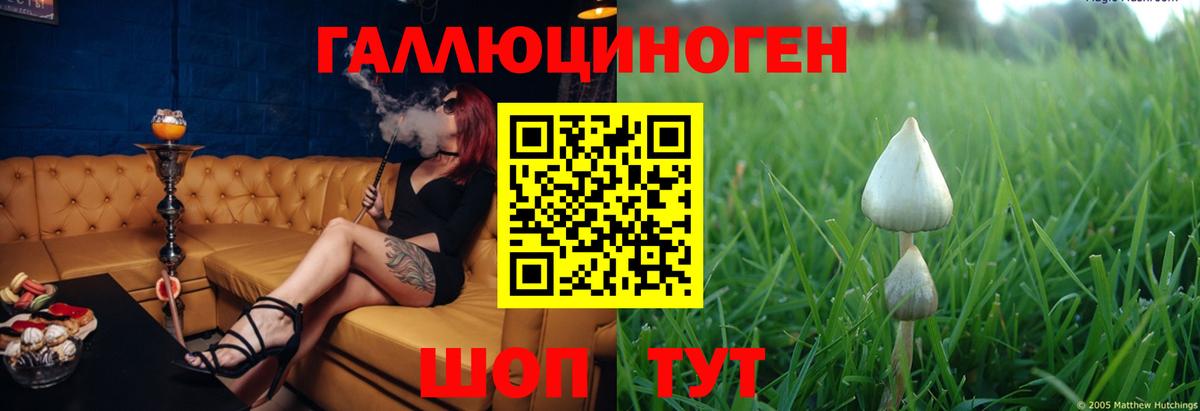 Галлюциногенные грибы прущие грибы Лосино-Петровский